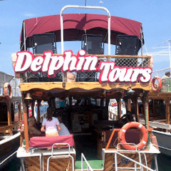 Foça Tekne Turları - Delphin Gezi Teknesi